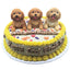 10 inch cake for pets