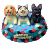 10" Round Cake for Pets with 3D Topper