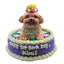Custom Round Cake for Pets - 6 inches - with 3D Topper
