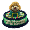 Custom Round Cake for Pets - 6 inches - with 3D Topper