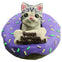 Donut Cake for Cats with 3D Topper 6inch