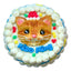 custom cake for cats