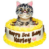 Custom Round Cake for Cats - 6 inches - with 3D Topper