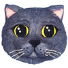 Custom 3D Face Cake for Cats - 6 inches