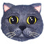 3d face cake for cats