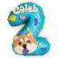 number cake with dog portrait