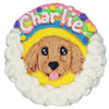 colorful cake for pets with portrait