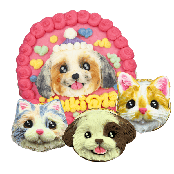 Pet Cakes with Portrait