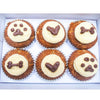 make and bake for pets cupcakes for pets