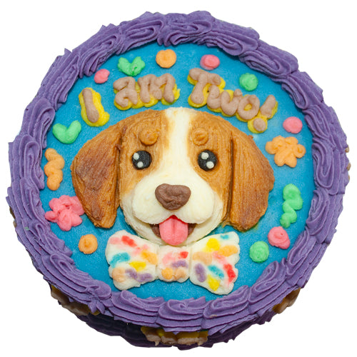 Gourmet Dog Cake – Passion For Dogs