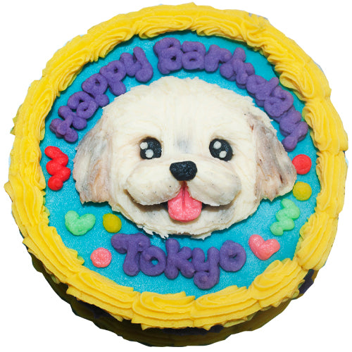 Drip Dog Birthday Cake - Dozer turns 9! | RecipeTin Eats
